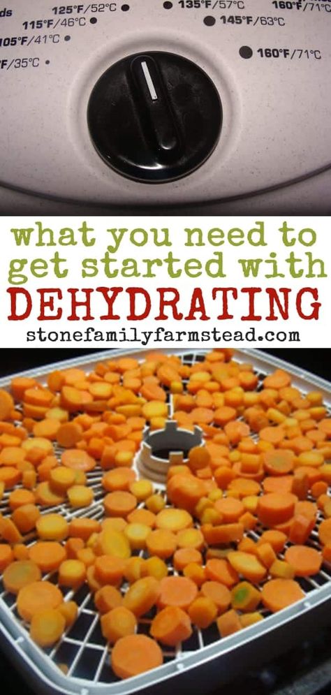 Ready to start dehydrating your garden bounty, or your awesome produce deals? Here's all you need to know to get started with dehydrating! #dehydrating for beginners #dehydrating #food preservation #preserving food Dehydrating Food Storage, Food Dehydration, Dehydrated Vegetables, Dehydrated Fruit, Dehydrated Food, Dehydrator Recipes, Canning Recipes, Dried Fruit, Fruits And Veggies