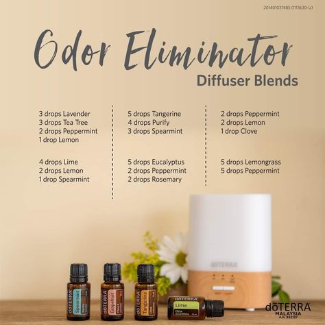 One of the most appealing things about using essential oils for cleaning is that they come from natural sources, and when used appropriately, it is safe for the entire family😉 Apart from using essential oil to clean the surface, you can also diffuse essential oil to cleanse the air and create an inviting aroma throughout every corner of your home. Essential Oils For Cleaning, Oils For Diffuser, Doterra Diffuser Blends, Essential Oil Combinations, Doterra Essential Oils Recipes, Essential Oil Diffuser Blends Recipes, Essential Oil Remedy, Young Living Essential Oils Recipes, Essential Oil Spray