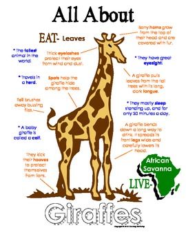 Animal Unit Study, Jokes Cartoon, African Animal Art, Preschool Jungle, Giraffe Facts, 100 Días De Clases, Giraffes Cant Dance, Art Preschool, Funny Cartoon Pictures