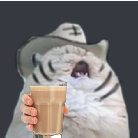 Aster Drawing, Chocolate Meme, Choccy Milk, Funny Reaction, Cat Meme, Drink Milk, Funny Reaction Pictures, Reaction Pictures, Milk Glass