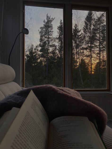 Late At Night, At Night, Trees, Sun, Reading, Bed