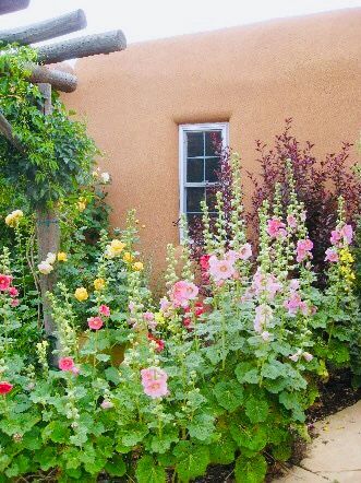 Southwest Landscaping, Adobe Wall, High Desert Landscaping, New Mexico Style, Hollyhocks Flowers, Veggie Gardens, New Mexico Homes, Drought Tolerant Garden, Taos New Mexico