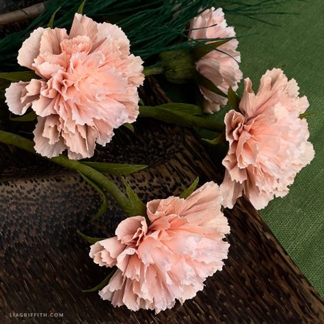 Paper Carnations, Crepe Paper Flowers Diy, Holiday Arrangement, Pine Branches, Pink Carnations, Crepe Paper Flowers, Sweet Stories, Diy Templates, Pine Branch