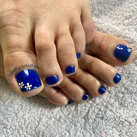 Royal Blue Pedicure, Royal Blue Toe Nails, Blue Pedicure, Blue Toe Nails, Royal Blue Flowers, Flowers Daisies, Blue Toes, Gel Toes, Blue Gel