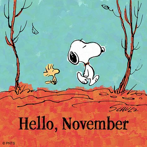 Hallo November, Snoopy Und Woodstock, Welcome November, November Wallpaper, Happy November, Snoopy Funny, Hello November, Thanksgiving Wallpaper, Snoopy Images