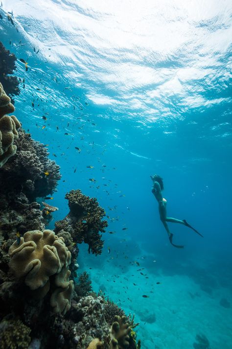 Backpacking Aesthetic, Great Barrier Reef Australia, Aesthetic Camping, Barrier Reef Australia, Wallpaper Travel, Outfit Hiking, Drømme Liv, Lev Livet, Hamilton Island