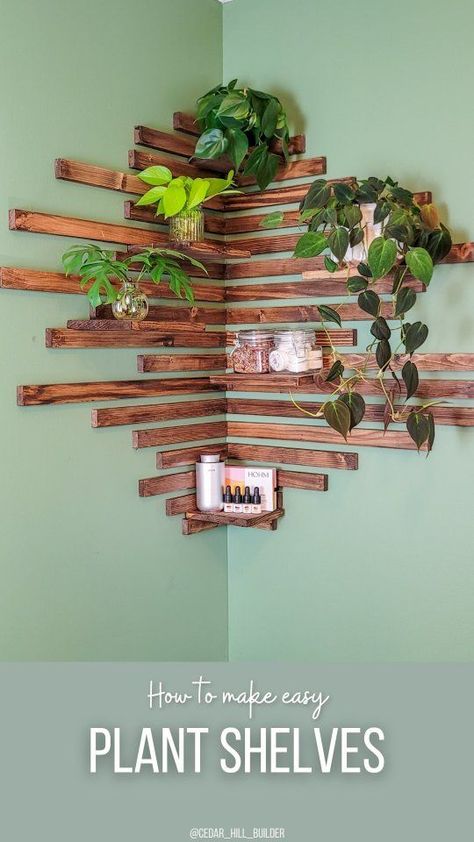 Cedar House Interior, Diy Plant Shelves, Diy Shelves Design, Wood Wall Design, Wood Slat Wall, My Boards, Gel Stain, Plant Cuttings, Slat Wall