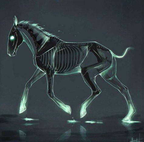 Undead Animals, Skeleton Horse, Mystical Animals, Fantasy Horses, Mythical Animal, Creature Drawings, Horse Drawings, Fantasy Creatures Art, Mythical Creatures Art