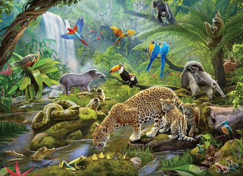 Poison Arrow Frog, Anaconda Snake, Green Anaconda, Poison Arrow, Rainforest Animals, Willow Tree Figurines, Jigsaw Puzzles For Kids, Colorful Parrots, Animal Puzzle