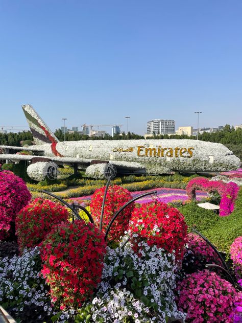 Dubai Flower Garden, Emirates Plane, Habibi Come To Dubai, Miracle Garden Dubai, Dubai Photoshoot, Dubai Emirates, Dubai Garden, Emirates Cabin Crew, Miracle Garden