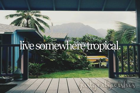 Bucket List Tumblr, Completed Bucket List, Moving To Hawaii, Ultimate Bucket List, Dream Book, I Want To Travel, Big Adventure, Life Is An Adventure, Life Inspiration