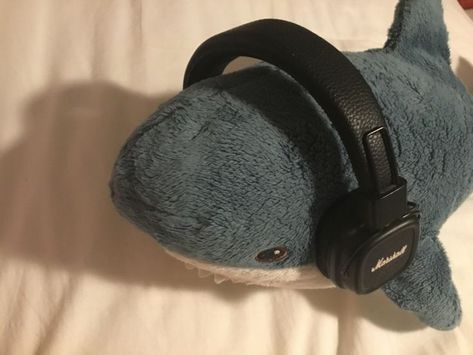 Percy Jackson Aesthetic, Jackson Aesthetic, Shark Pictures, Shark Plush, Patchwork Sweatshirt, Cute Shark, Marine Biology, Marine Animals, Cute Stuffed Animals