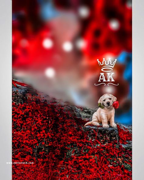 Bhai Bhai Background, Photo Editing Websites, Cb Editing Background, Flower Background Iphone, Red Background Images, Cb Editing, Stock Background, Green Screen Background Images, App Background