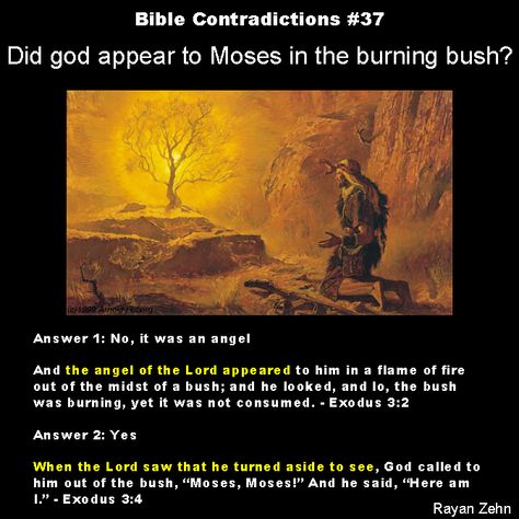 The Book Of Exodus, Bible Contradictions, The Burning Bush, Book Of Exodus, Atheist Quotes, Life Advice Quotes Inspiration, Ancient History Facts, Burning Bush, Bible Facts