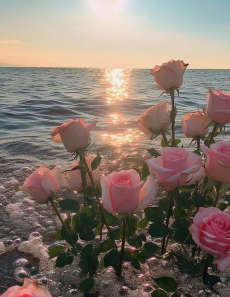 golden hour roses in the ocean, mermaid core sirencore waves sunset pink flowers floating in the water aura dreamy aesthetic divine feminine energy healing water waves bubbles Rosé Core, Ethereal Aesthetic, Nothing But Flowers, Pretty Landscapes, Wallpaper Nature Flowers, Adrien Agreste, Flower Therapy, Pink Sunset, Water Flowers