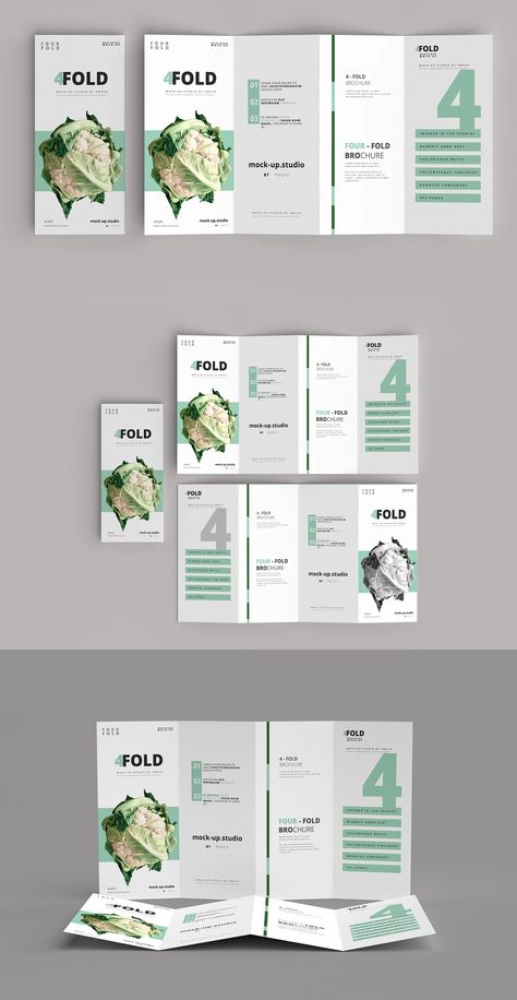 Four-Fold (4 fold) Brochure Mockups Four Fold Brochure Design, Brochure 4 Fold, Folding Brochure Design, 4 Fold Brochure Design, Three Fold Brochure Design, Brochure Aesthetic, Health Brochure, Typography Brochure, Leaflet Layout