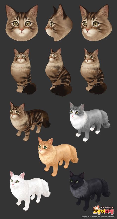 ArtStation - CafeKittyCat _ Norwegianforest, JiEun Moon Face Topology, Creature Reference, Hand Painted Textures, Animal Model, Cat Sketch, Cat Model, Low Poly Art, Body Reference Drawing, Cat Character