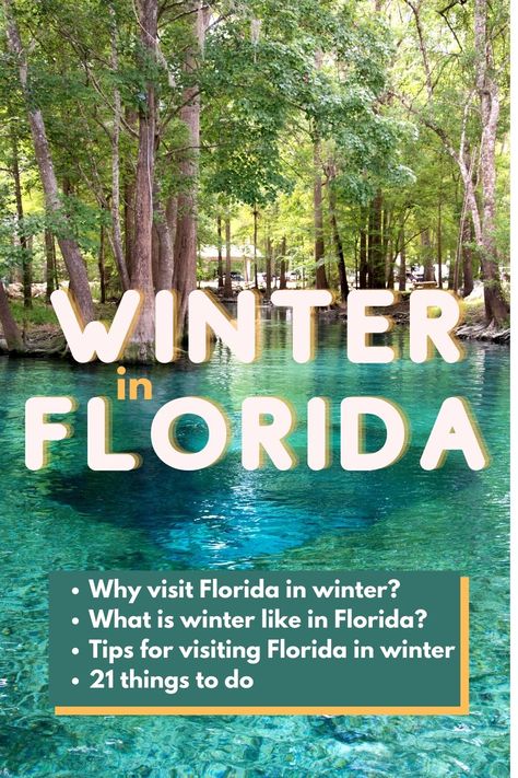 I love Florida in the summer but winter in Florida, even better. Florida in the winter is stunning; perfect sunny days, cool-ish nights, laid back vibes, and perpetual beach weather. Florida In The Winter, Clearwater Beach Florida In December, Florida In January, Florida In December, Best Places In Florida, Flagler Beach Florida, Things To Do In Florida, Florida Vacation Spots, Winter In Florida