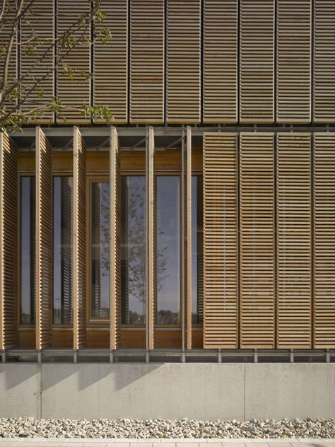 Solar control with wood pales, reduce the quantity of temperature and brings a touch of nature in the facade. Fasad Design, Shading Device, Exterior Window, Wood Facade, Timber Screens, Wooden Facade, Wood Screens, Wood Architecture, Window Covering