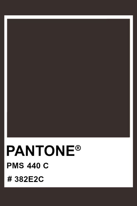 PANTONE 440 C #pantone #color #PMS #hex Pantone Shades, Dark Academia Color Palette, Dark Academia Color, Brown Pantone, Cool Summer Palette, Pantone Tcx, Pantone Matching System, Pantone Colours, Soft Summer Palette