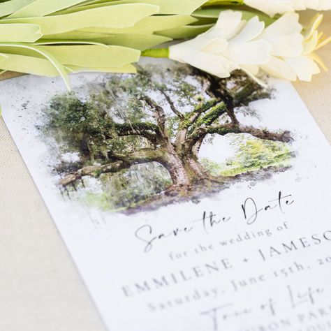 My New Orleans Audubon Park Tree of Life save the date is the perfect way to announce your beautiful outdoor southern Louisiana wedding or share your NOLA elopement with family and friends! This card can also be re-worked into a wedding invitation, elopement announcement, vow renewal or rehearsal dinner invite! Featuring my very own photographic image of the gigantic oak tree found in Audubon Park in New Orleans, Louisiana, this artistic and whimsical watercolor save the date is simply stunning! There is nothing more magical than getting married beneath this majestic oak. PLEASE NOTE: This listing is for printed invitations, not a digital file. Invitations are mailed to you for addressing/mailing as I do not offer addressing/mailing services at this time. Please choose your size above from Southern Live Oak Tree, Southern Live Oak, Tree Of Life Wedding, Live Oak Tree, Nola Wedding, Louisiana Wedding, Elopement Announcement, Wedding Invitation Size, Live Oak Trees