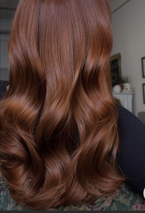 Copper Brown Hair, Light Auburn Hair, Cinnamon Hair, Rambut Brunette, Brown Hair Looks, Brown Hair Inspo, Ginger Hair Color, Vlasové Trendy, Hair Color Auburn