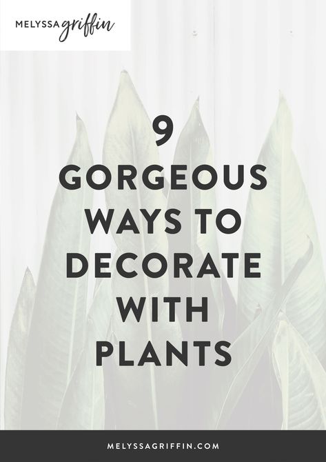 9 Gorgeous Ways to Decorate With Plants - Melyssa Griffin Plant Room Paint Colors, How To Decorate With Plants, Office Plants Ideas Interior Design, Interior Design Ideas For Small Spaces, Plants On Shelves, Plant Rooms, Indoor Plants Decor Living Room, Decorate With Plants, Living Room Plants Decor