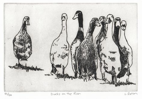 This hand-made etching depicts a mixed flock of farm ducks racing up from the dam; khaki Campbells, Mallards and Indian Runners jostling for space.  Etching size 4 x 6 inches - printed on 8 x 10 inch paper.  This is edition 12 of 50. Paper Ducks, Etching Printmaking, Handpoke Tattoo, On The Run, Art And Illustration, Tattoo Inspo, The Run, Funky Art, Illustration Print