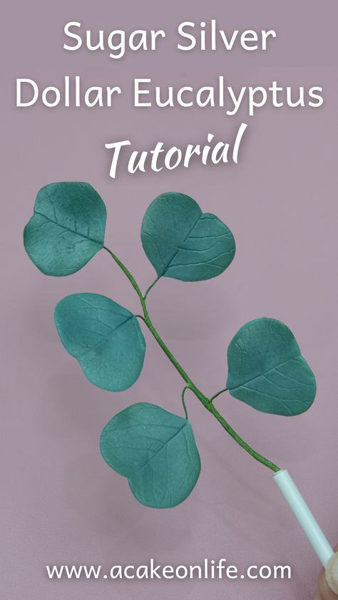 sugar silver dollar eucalyptus Fondant Leaves Tutorial, Leaves Tutorial, Fondant Leaves, Buttercream Designs, Dollar Eucalyptus, Fondant Cake Topper, Cake Topper Tutorial, Silver Dollar Eucalyptus, Gum Paste Flowers