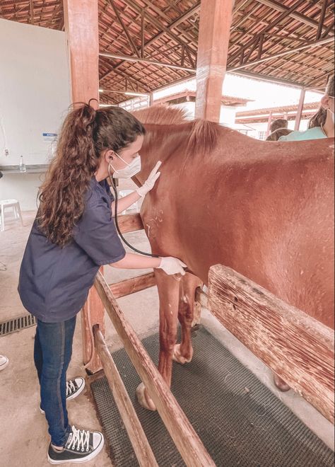 Vet Aesthetic Wallpaper, Equine Vet Tech, Vet Aesthetic, Vet Pictures, Vet School Motivation, Equine Vet, Vet Tech School, Equine Veterinarian, Vet Technician