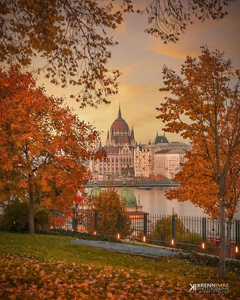 BUDAPEST Autumn Sunset, Urban Road, Beautiful Travel Destinations, Budapest Hungary, Northern Italy, Beautiful Backgrounds, Autumn Photography, Eastern Europe, Fall Foliage