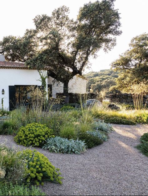 Native California Landscaping, Gravel Landscaping, Small Yard Landscaping, Lake Garden, Garden Paving, Hillside Landscaping, California Garden, Australian Garden, Front Landscaping