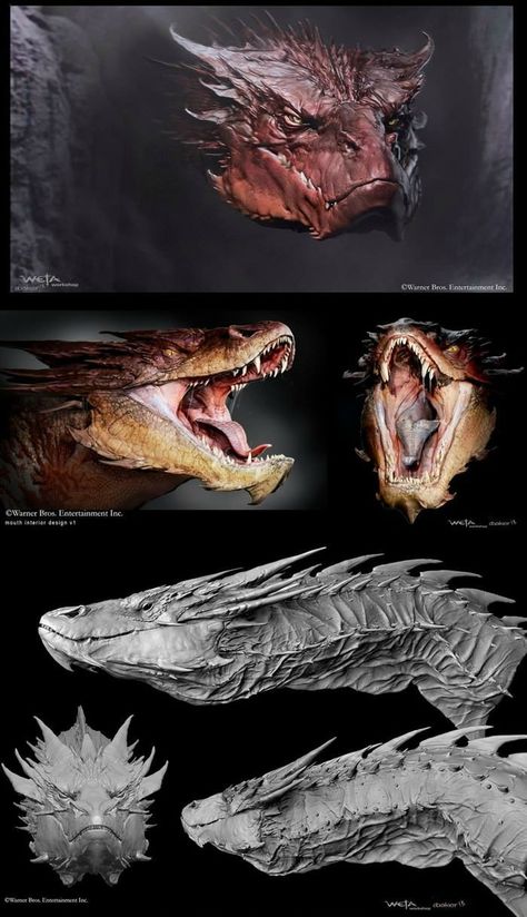 Smaug concept art... I'll say it again. The best dragon I've ever seen. :D Smaug Dragon, Dragon Anatomy, Dragon Face, Dragon Artwork Fantasy, Lotr Art, Dragon Sketch, Cool Dragons, Dragon Sculpture, Creature Drawings