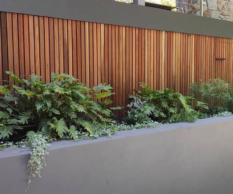 Grindstone Landscapes on Instagram: "S C R E E N I N G Creating a beautiful screen and the perfect place for the kids to play "hide and seek" with these spotted gum battens & gate, plants with different textures and colours add another layer to the overall look and feel of the space #landscapedesign #landscapeconstruction #landscapearchitecture #gardendesign #gardensofsydney #gardeninspiration #outdoors #outdoordesign #screening #timber #timberbattens #design #aildmmember" Timber Screens Outdoor, Timber Screen, Timber Battens, Timber Screens, Landscape Construction, Hide And Seek, Instagram S, Garden Fence, Different Textures