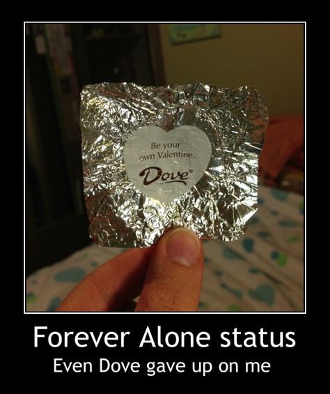 I opened up my dove chocolate on Valentines day, hoping it would comfort my single-ness, and this is what I get. Single For Valentines Day, Funny Relationship Status, Funny Valentine Memes, Me On Valentines Day, Valentines Memes, Forever Alone, Valentines Day Memes, Valentines For Singles, Sweet Love Quotes