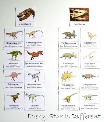 Dinosaur Unit 3 with FREE Printables - Every Star Is Different Dinosaur Flashcards Free Printable, Dinosaur Curriculum Preschool, Dinosaur Lessons For Preschool, Dinosaurs Names And Pictures, Free Dinosaur Printables, Dinosaurs Names, Dinosaur Facts For Kids, Dinosaur Unit Study, Dinosaur Information