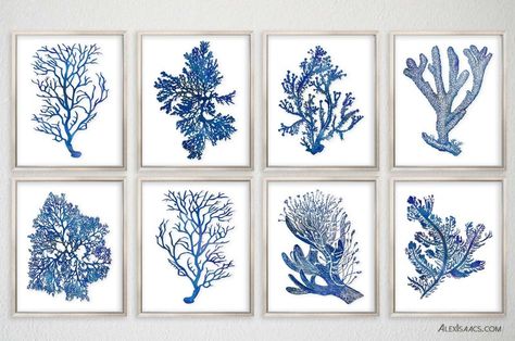 Beach House Gallery Wall Art Coastal Living Rooms Ideas, Coral Pictures, Seashell Frame, Coral Wall Art, Bedroom Coastal, Navy Blue Wall Art, Coral Walls, Wal Art, Navy Blue Walls