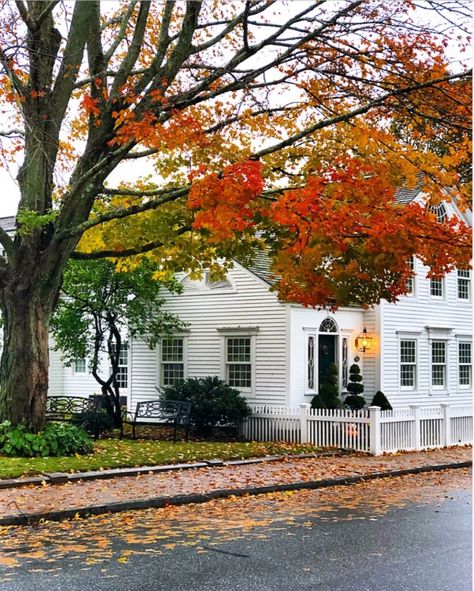 5 Favorite Fall Connecticut Towns to Visit Old New England Homes, Fall In Connecticut, Nantucket Hotels, 20 Years Of Marriage, Bare Trees, Happy November, Colonial Exterior, New England Travel, Bare Tree