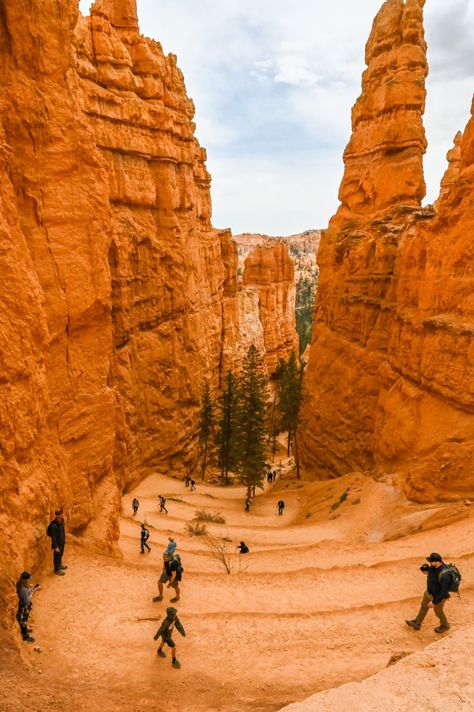 10 Best Hikes in Bryce Canyon National Park Brice Canyon Utah, Glen Canyon National Park, Bryce National Park, Usa Places, Usa Trip, Utah Road Trip, Desert Landscapes, American Road, Us Road Trip