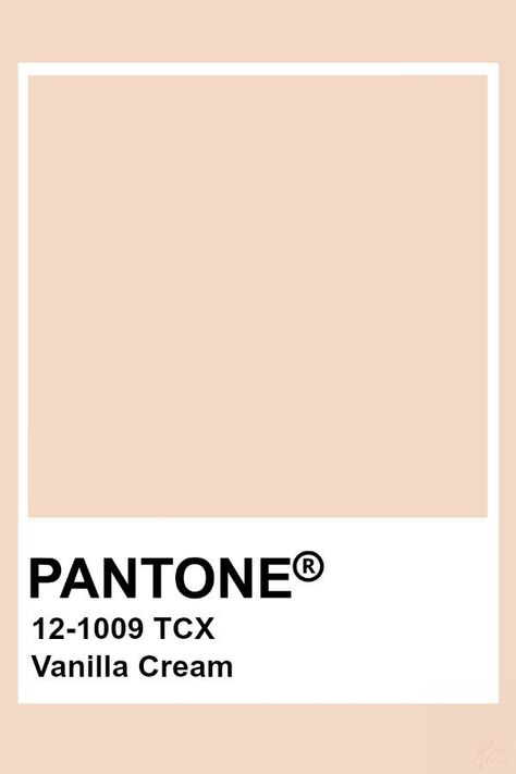 Pantone Vanilla Cream, Pantone Cream Shades, Light Orange Pantone, Autumn Pantone, Cream Pantone, Pantone Tcx, Pantone Trends, Nude Color Palette, Pantone Color Chart