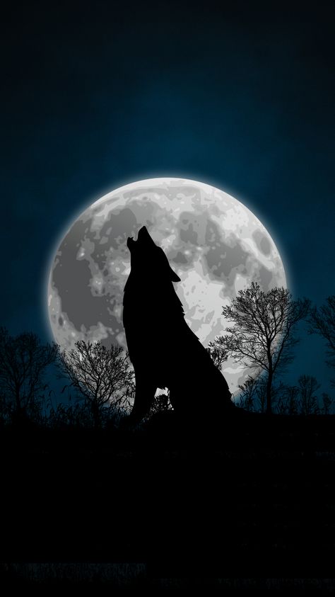 Wolf Wallpaper Iphone Aesthetic, Cool Wolf Wallpaper, Gaara Tattoo, Scary Wolf, Pet Wolf, Wolf Photography, Wolf Images, Nature Art Drawings, Wolf Photos