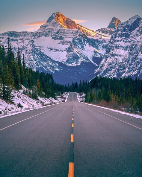 Jasper, Canada on Instagram: “The weekend is just around the corner!⛰️ Get your ticket to adventure. National Park Passes are now available on jasper.travel. Link in…” Canada Jasper, Canada Wallpaper, Canada Dream, Jasper Canada, Jasper Park, Tree Mountain, Canada National Parks, Jasper National Park, Sky Tree