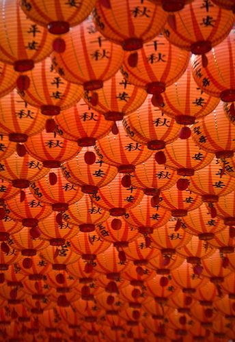 Lantern Sea by kyleintaiwan, via Flickr Image Zen, Orange Lanterns, Foto Macro, Japanese Lanterns, Jaune Orange, Rainbow Aesthetic, Orange You Glad, Orange Aesthetic, Orange Wallpaper