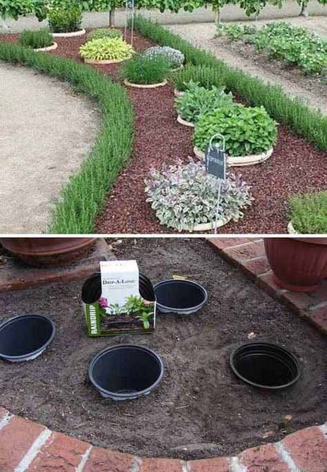 Diy Garden Landscaping, Desain Lanskap, Plants Growing, Easy Landscaping, 카페 인테리어 디자인, Landscape Designs, Have Inspiration, Garden Yard Ideas, Front Yard Garden