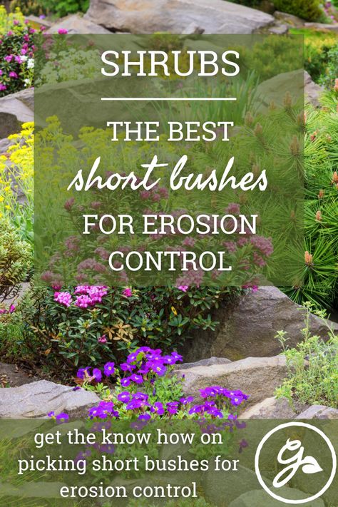 Shrubs On A Slope, Planting On Slopes, Garden On A Hill Hillside Landscaping, Hill Planting Ideas, Slope Landscaping Ideas Low Maintenance, Ground Cover For Slopes Erosion Control, Plants To Stop Erosion, How To Landscape A Hillside Sloped Yard, Plants To Prevent Erosion