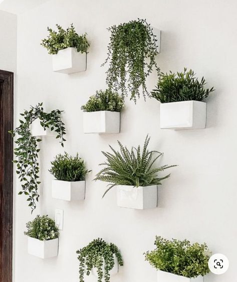 Fabric or felt pockets that can be hung on the wall and filled with soil and plants, perfect for creating a vertical herb garden. Indoor Grass Wall, Wall Plants Indoor, Hanging Planter Boxes, Wall Plants, Grass Wall Backdrop, Indoor Plant Wall, Wall Planters Indoor, Plant Wall Decor, Hanging Plant Wall