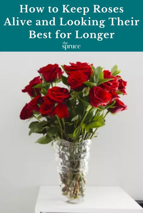 How To Bring Roses Back To Life, Fresh Roses In A Vase, Fresh Roses Bouquet, How To Take Care Of Roses In A Vase, Roses In Vase Floral Arrangements, How To Keep Roses Fresh Longer, Arranging Roses In A Vase, How To Make Roses Last Longer, How To Keep Roses Alive Longer Vase