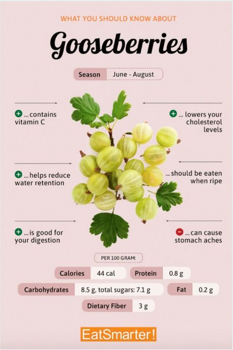 Gooseberry Benefits, Goose Berry, Herbal Living, Gooseberry Recipes, Healthy Plan, Blood Sugar Diet, C Vitamin, Baking Soda Uses, Healthy Diet Tips