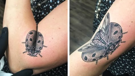 Elbow Insect Tattoo, Hinge Tattoo Elbow, Bug Elbow Tattoo, Elbow Bug Tattoo, Folding Arm Tattoo, Arm Fold Tattoo, Folding Elbow Tattoo, Moving On Tattoos, Ladybug Tattoo