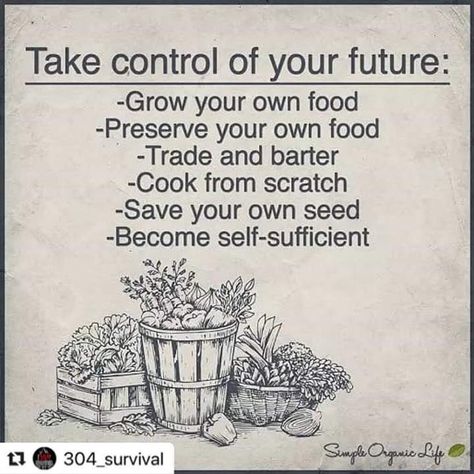 Self Sufficient Quotes, Self Sufficient Homestead, Organic Diet, Seed Packaging, Self Sufficient, Family Eating, Simple Organic, Heirloom Seeds, Gifts For Cooks